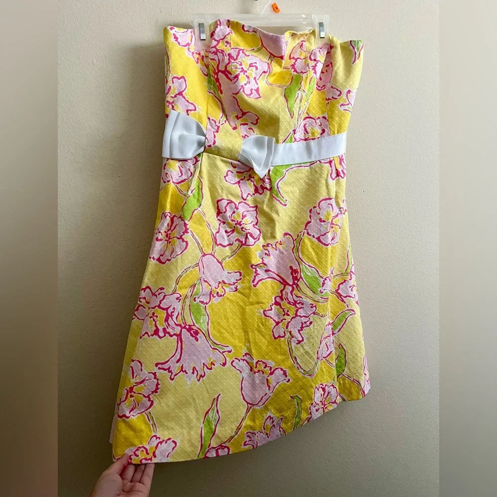 Lilly Pulitzer Amberley Dress - Picture 6 of 13